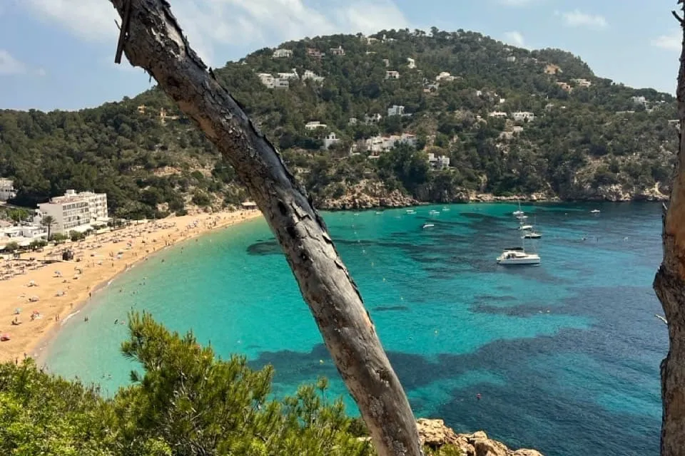 Regió Glutaea del Món*