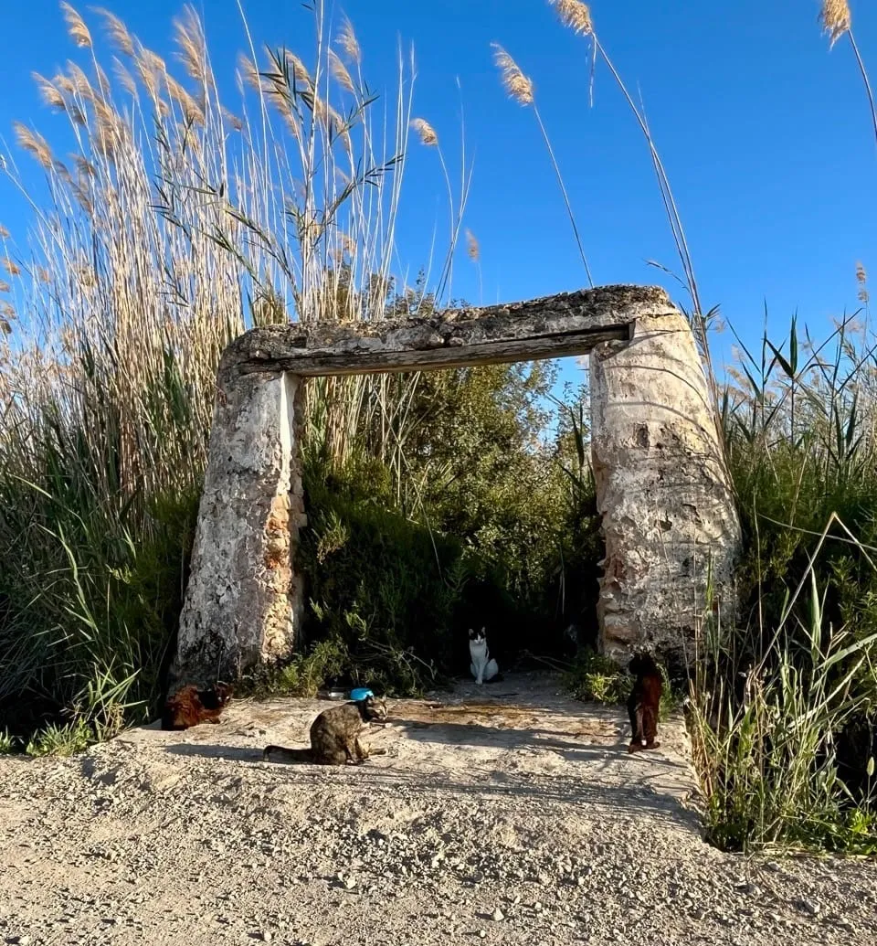 Preservem les històries d'ahir per demà